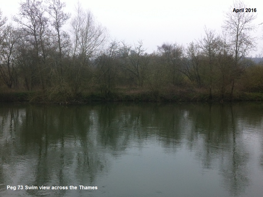 ACROSS SWIM VIEW